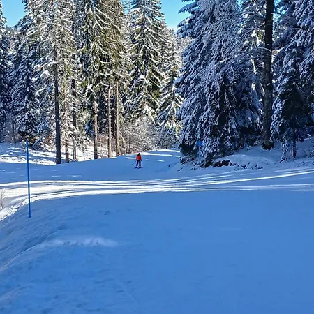 Apartman Mraz Jahorina